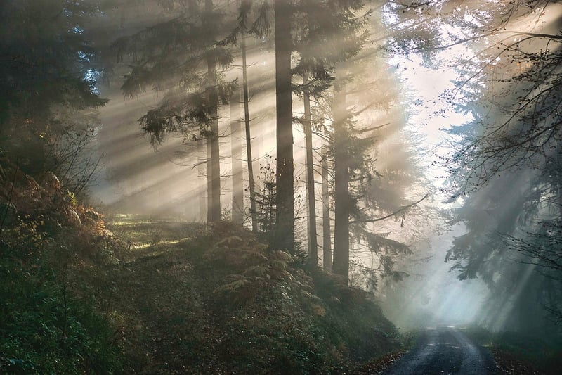 Mystical Themes